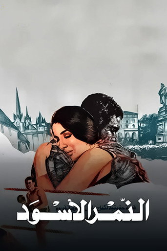 Póster de النمر الآسود