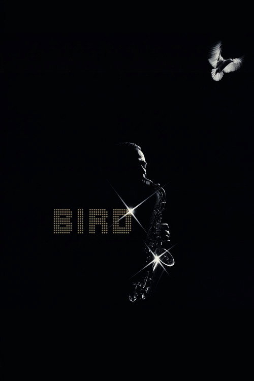 Póster de Bird