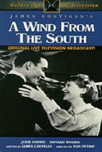 Póster de A Wind from the South