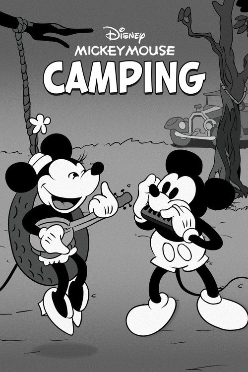 Póster de Camping