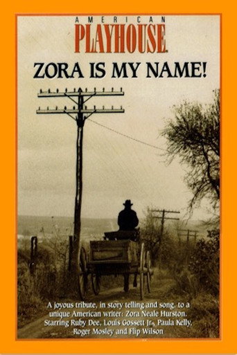 Póster de Zora is My Name!