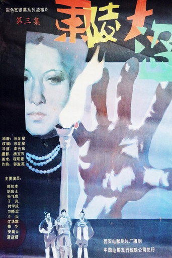 Póster de 东陵大盗（三）