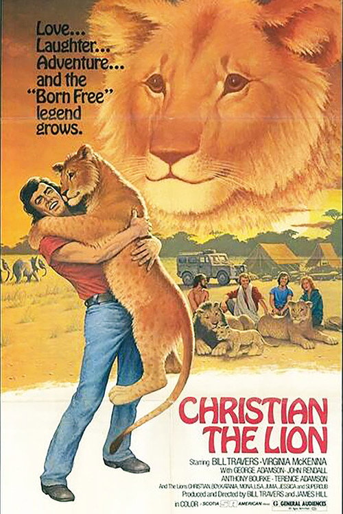 Póster de The Lion at World's End