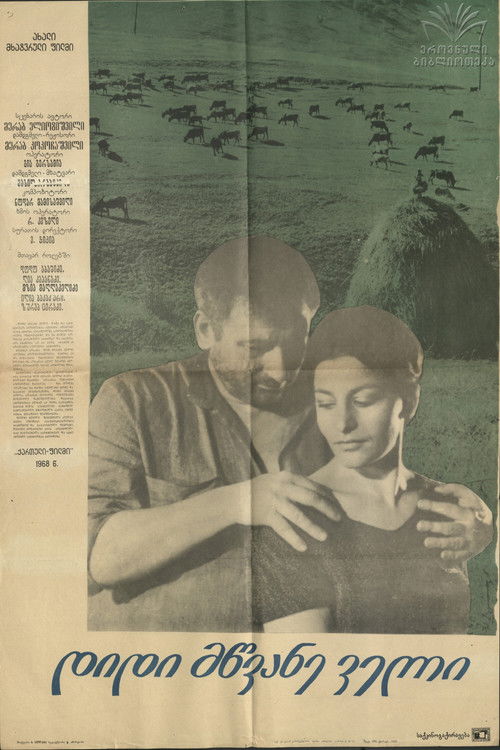 Póster de დიდი მწვანე ველი