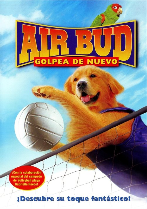 Póster de Air Bud: Golpea de Nuevo