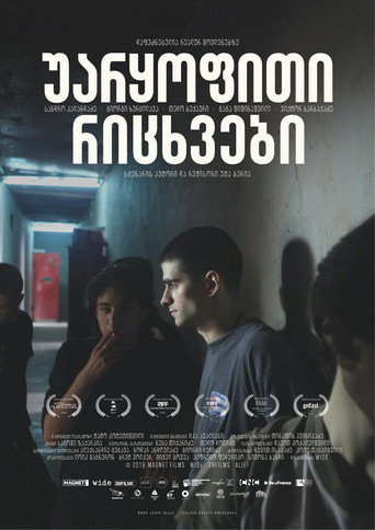Póster de უარყოფითი რიცხვები