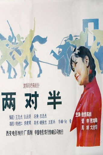Póster de 两对半