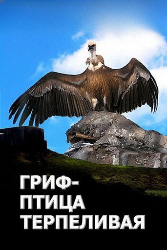 Póster de L'avvoltoio può attendere