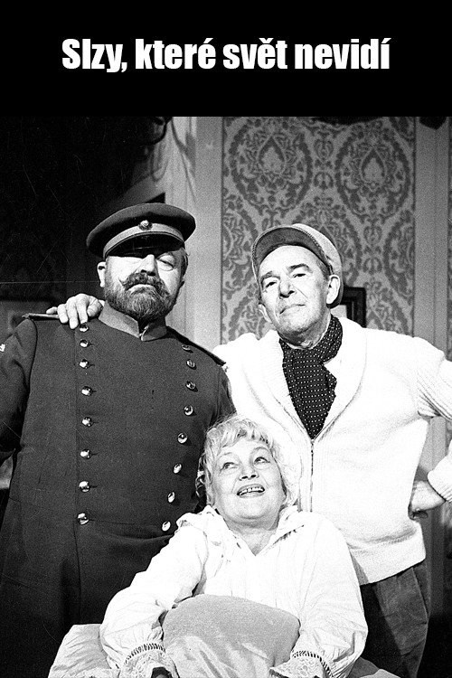 Póster de Slzy, které svět nevidí