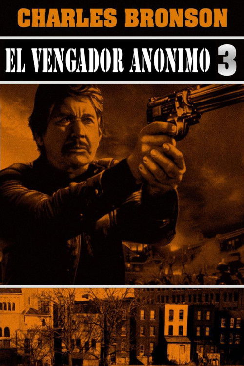 Póster de El Vengador Anónimo 3