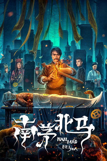 Póster de 南茅北马