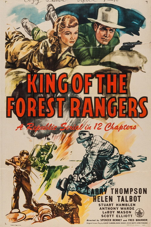 Póster de King of the Forest Rangers