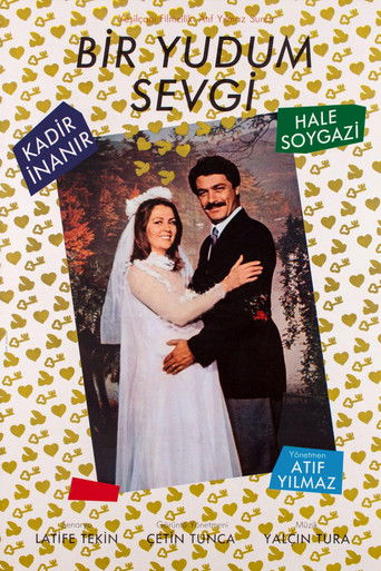 Póster de Bir Yudum Sevgi