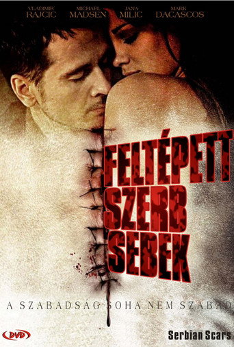 Póster de Serbian Scars