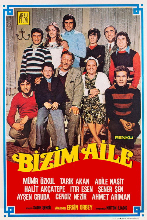 Póster de Bizim Aile