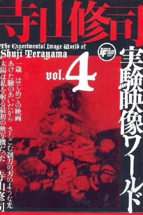 Póster de 記憶のカタログ