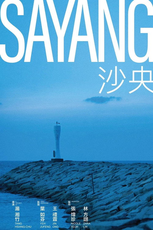 Póster de 沙央