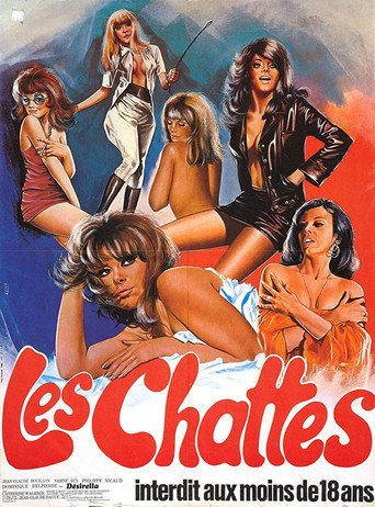 Póster de Désirella