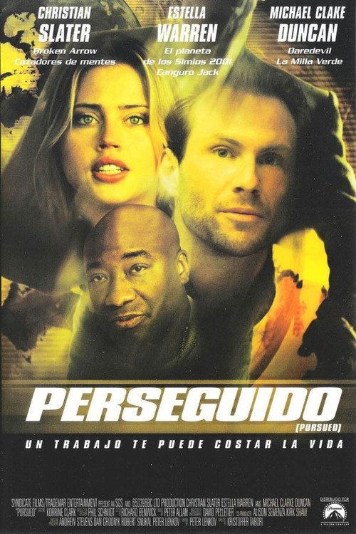 Póster de Pursued