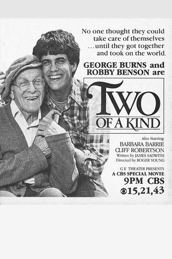 Póster de Two of a Kind