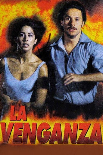 Póster de La venganza