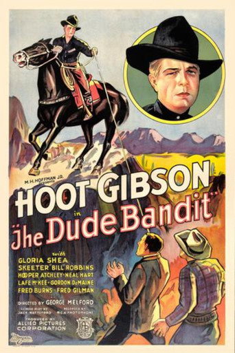 Póster de The Dude Bandit