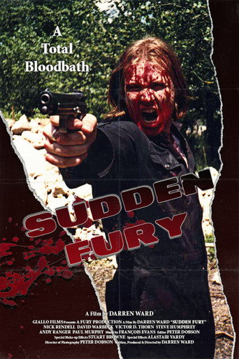 Póster de Sudden Fury