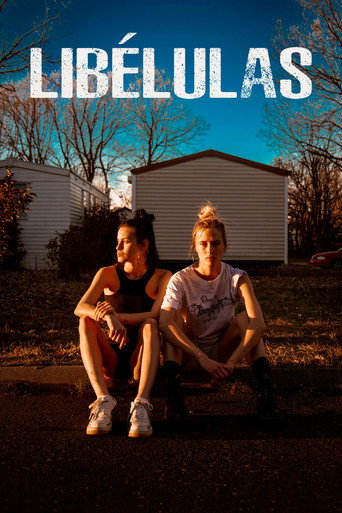 Póster de Libélulas