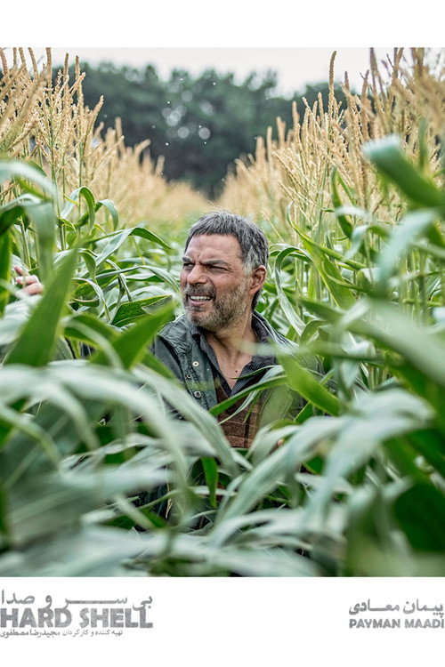 Póster de بی سر و صدا