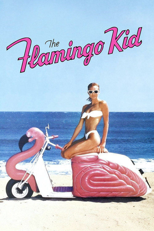 Póster de The Flamingo Kid