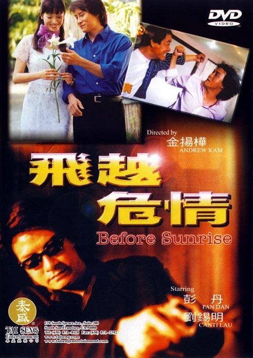 Póster de 飛越危情