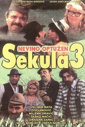 Póster de Sekula nevino optužen