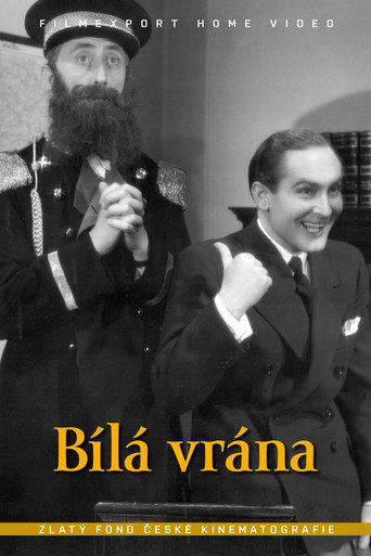 Póster de Bílá vrána