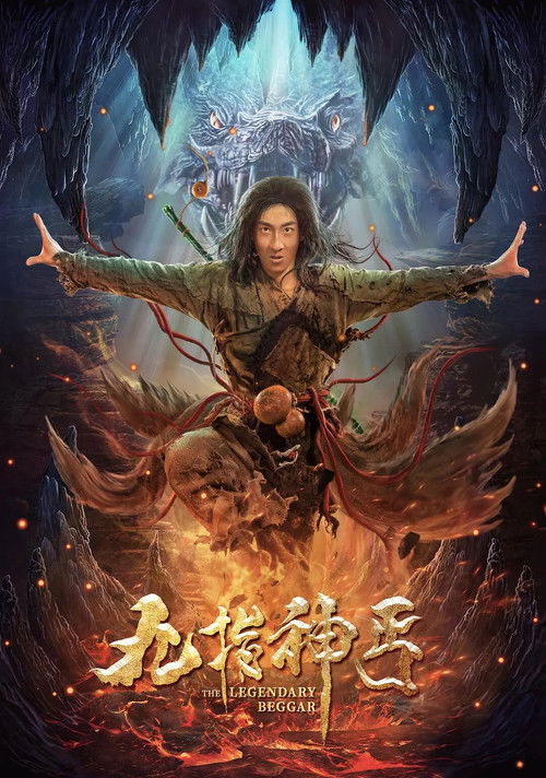 Póster de 九指神丐