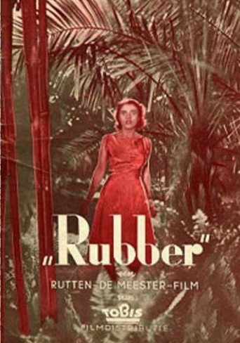 Póster de Rubber