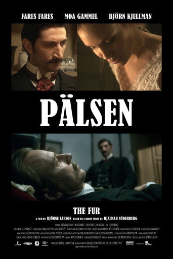Póster de Pälsen