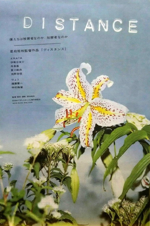 Póster de ディスタンス