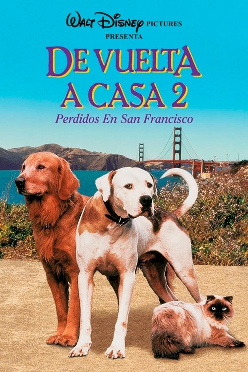 Póster de Volviendo a Casa 2: Perdidos en San Francisco