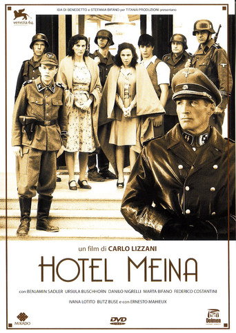 Póster de Hotel Meina
