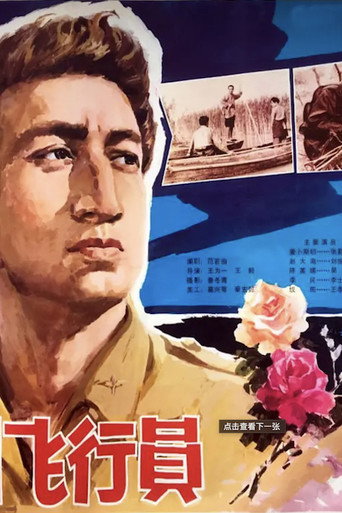 Póster de 一个美国飞行员