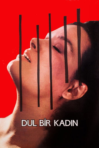 Póster de Dul Bir Kadın