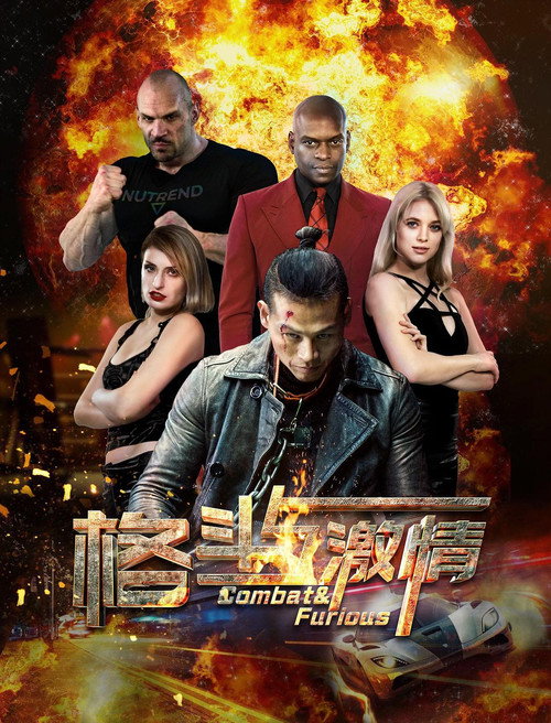 Póster de 格斗与激情