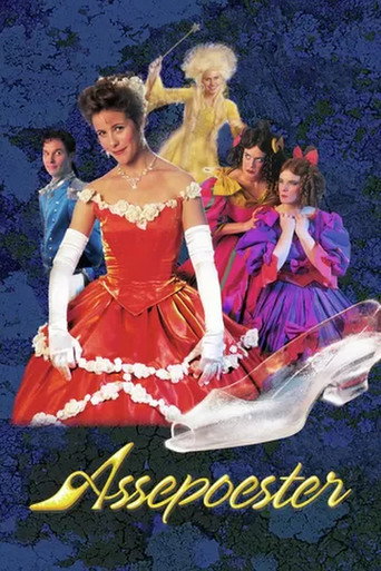 Póster de Assepoester De Musical
