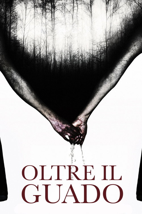 Póster de Oltre il guado