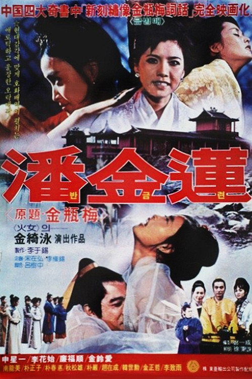Póster de 반금련