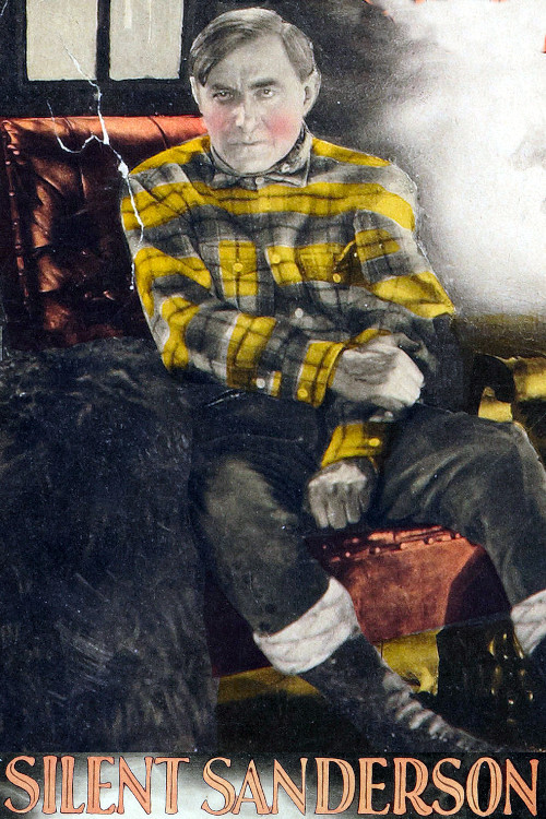 Póster de Silent Sanderson