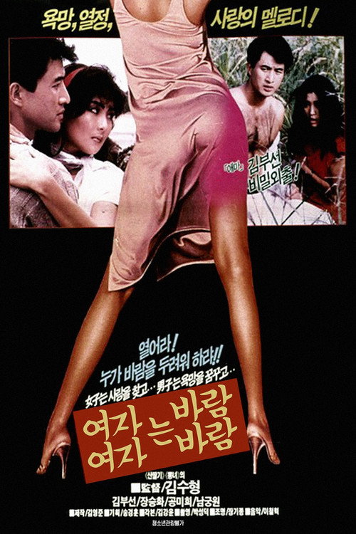 Póster de 여자는 바람 여자는 바람