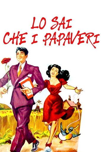 Póster de Lo sai che i papaveri...
