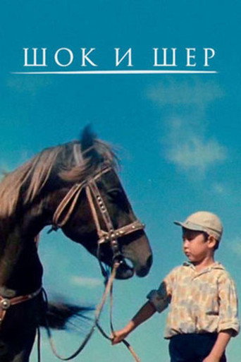 Póster de Шок и Шер