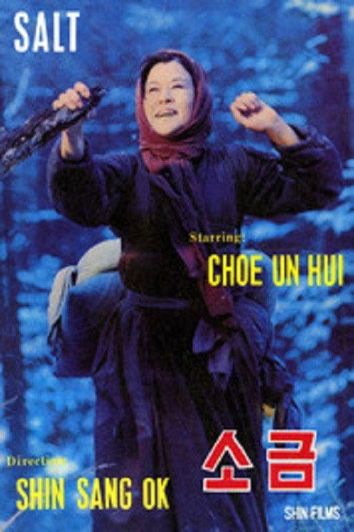 Póster de 소금